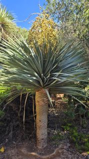 GC-Parque Botanico de Maspalomas 2025-045.jpg